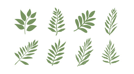 vector collection of illustrations of tropical foliage leaves - obrazy, fototapety, plakaty