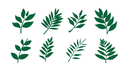 vector collection of illustrations of tropical foliage leaves