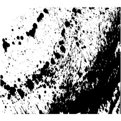 Obraz premium Black and white splash stroke background texture