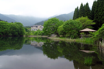 Fototapeta premium 田貫湖の水辺の風景【朝霧高原】日本静岡県富士宮市