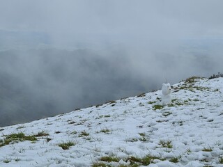 Snow and fog in the East Bay hills after a winter storm