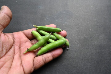 Vicia faba vegetable on black background. Its other names broad bean, fava bean, or faba bean. It  is a species of vetch. This a flowering plant in the pea and bean family Fabaceae.
