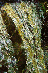 Closeup and high speed capture of a waterfall in Connecticut.