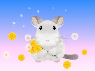 チンチラとタンポポの背景　A-3