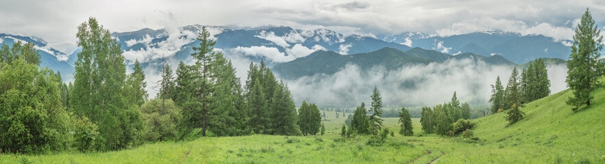 Foggy morning in the mountains, cloudy weather, summer travel, panoramic view	
