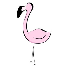 Flamingo