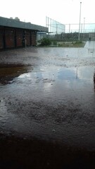 Lluvia en la tarde
