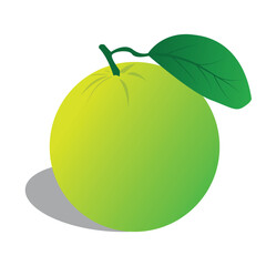 Fresh lime set, with various view of whole lime fruit, halves and slices, isolated on transparent background. Realistic 3d vector illustration
