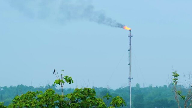 Burning gas out of large chimney at Petroleum refinery, concept air pollution