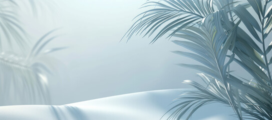 3d empty wall room space blue background with tropical palm leaves and shadow