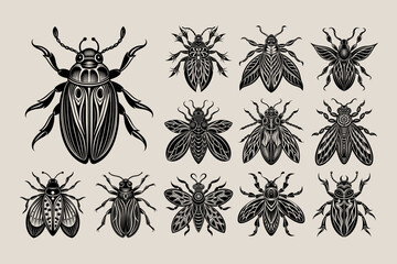 Vintage flat bug insect illustration design set - obrazy, fototapety, plakaty