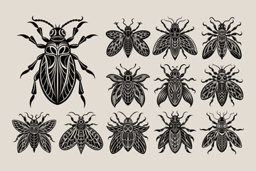 Detailed bug silhouette illustration design bundle