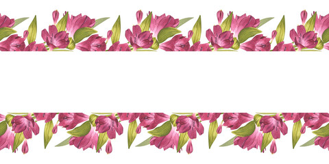 Horizontal frame of pink Alstroemeria flowers. Beautiful Peruvian Lilly. Seamless floral border for background design, textile, packaging