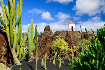 Jardin de Cactus garden on Lanzarote island - Canaries - Spain - 740481810