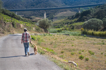 Une femme promenant son chien vers le pont routier de Collioure. Balade sur une route des...