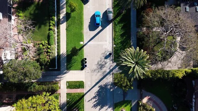 Birds Eye View Of Glamorous Palm Tree Lined Los Angeles Neighborhood