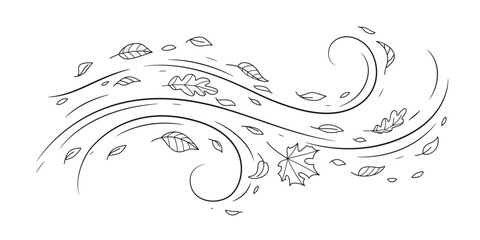 Doodle air wind and flying autumn leaves in hurricane blow or windy storm, line vector. Cartoon autumn wind with oak and maple leaf of fall season in blowing motion with spiral windy twirls - obrazy, fototapety, plakaty