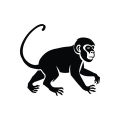 Black Silhouette Monkey Vector illustration design for T.Shirt
