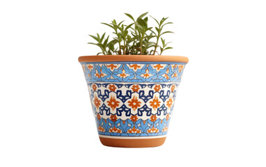 A potted plant is placed on a white wall, creating a simple and clean aesthetic. Isolated on a Transparent Background PNG.