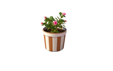 A potted plant with pink flowers. Isolated on a Transparent Background PNG.