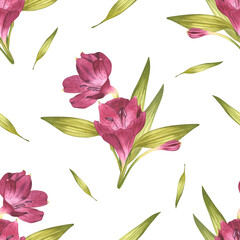 Alstroemeria. Beautiful Peruvian Lilly. Seamless pattern of pink flowers with greenery. Watercolor illustration of ornament for background design, textile, packaging