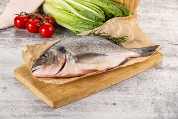 Raw dorada fish served rosemary