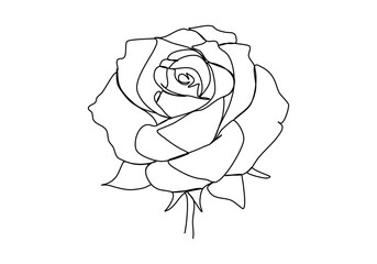 Flower, one line drawing vector illustration.