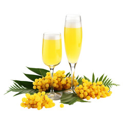 Mimosa isolated on transparent background
