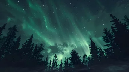 Fototapeten Scenery of aurora borealis in night sky © Pascal