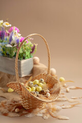 Easter composition with eggs, feathers, and spring flowers on a beige background.