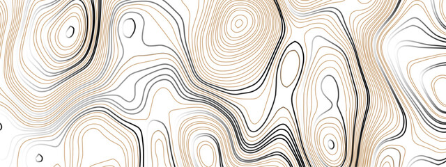 Wave topographic contour map, topographic wavy map line background. Abstract geographic wave grid line map. Geographic mountain relief background. Vector illustration.