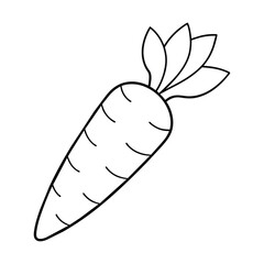 Vector Carrot isolated coloring page for kids on white