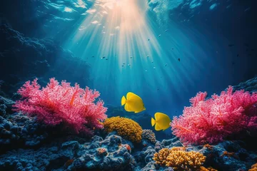Crédence de cuisine en verre imprimé Récifs coralliens coral reef with fish