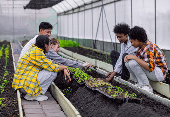 group of young school teenager learning agricultural in plant vegetable nursery agriculture farm...