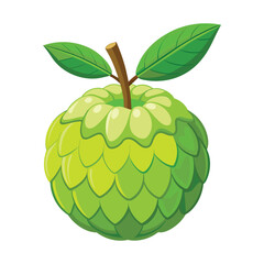 Vector of custard apple with green leaves on white