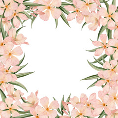 Oleander floral square frame with copy space watercolor floral illustration isolated on white background. Botanical summer drawing with flowers for labels and stickers
