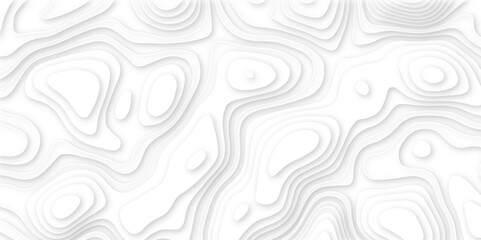 Abstract white paper carve template. abstract white   3d papercut topography relief vector background illustration. topographic canyon geometric map relief texture with curved layers and shadow.