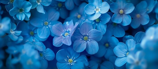 Beautiful Blue Flowers with Lush Green Leaves on Vibrant Background