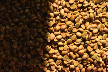 Coffee beans,In the ferment and wash method of wet processing