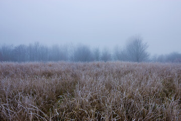 Fog at a winter day in Denmark