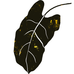 Black Tropical Leaves with Gold Splashes
