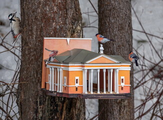 Bird feeder with bullfinches in the form of a theater model