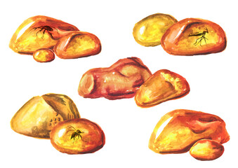 Transparent amber with insects inside set. Hand drawn watercolor illustration, isolated on white background