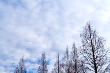流れる雲
