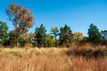 Stones River National Battlefield in Rutherford County, Tennessee