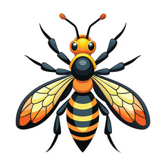 Vector of Wasp illustration on white