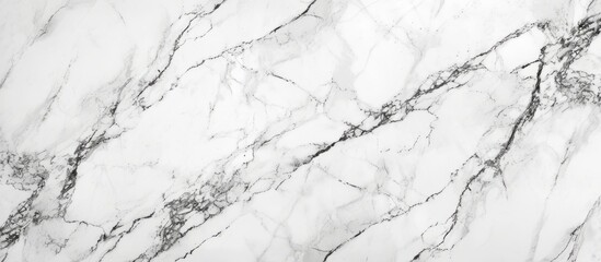 Elegant black and white marble wallpaper with intricate natural patterns for luxurious interior...