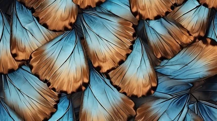 Crédence de cuisine en verre imprimé Papillons en grunge Butterfly wings background with blue and brown textures and details