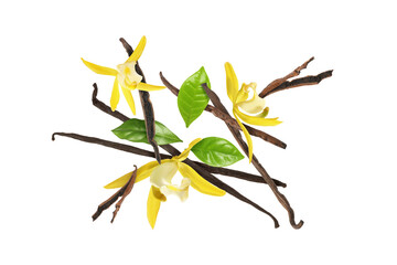 Vanilla pods, yellow flowers and green leaves falling on white background