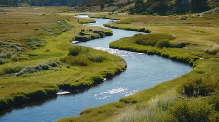 A meandering river glistening in the warm afternoon sun revealing its crystal clear waters and the life within it.